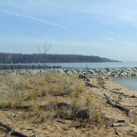 study of the breakwater at Rogue’s Harbor Boating Facility in Elk Neck State Park