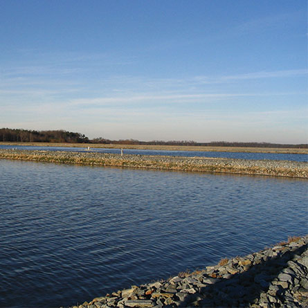 Inland Bays Reclaimed Water Facility