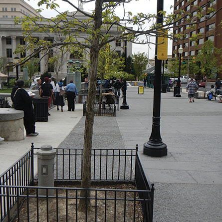 Rodney Square Renovation