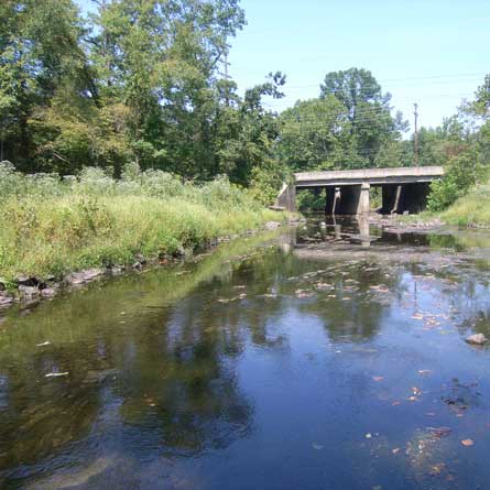 Water in Cub Run Wetland