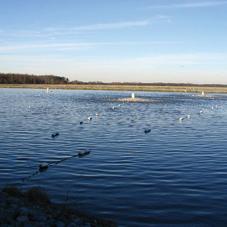 Inland Bays Reclaimed Water Facility