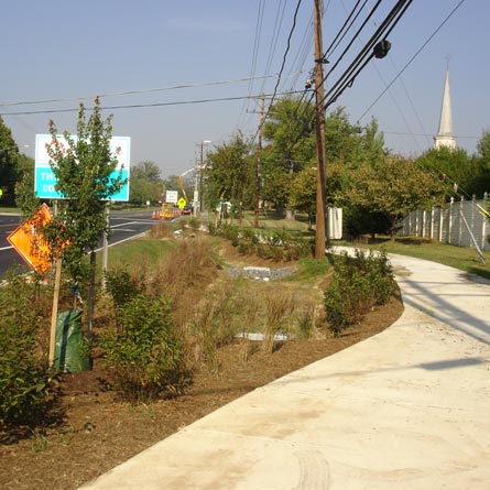 MD Restoration Trees