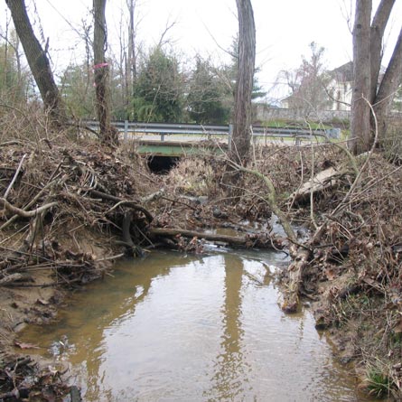 MD Restoration Pond