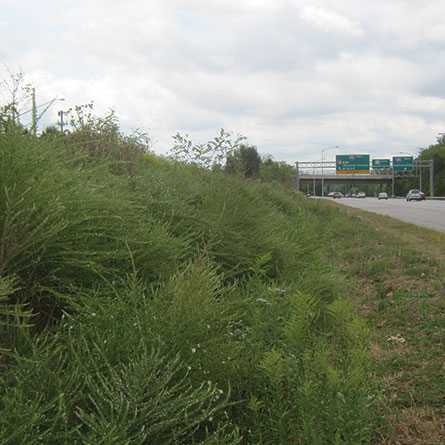 MD 295 Third Lane Widening