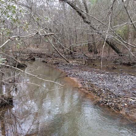 North County Depot Wetland Delineation Creek