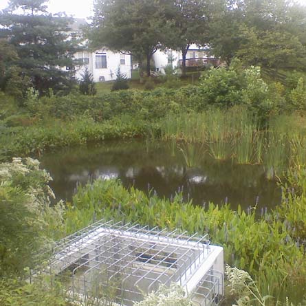 On-Call Contracts with Anne Arundel County DPW Pond - Close Up