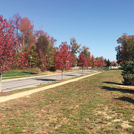 Sheffield Neighborhood Planning